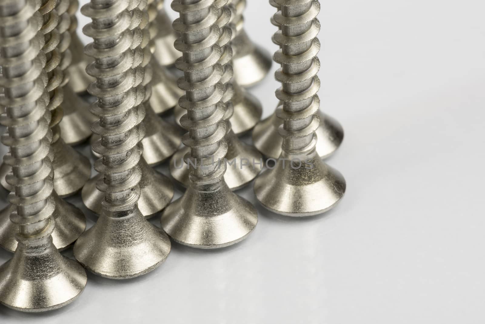 Collection of stainless steel screws
