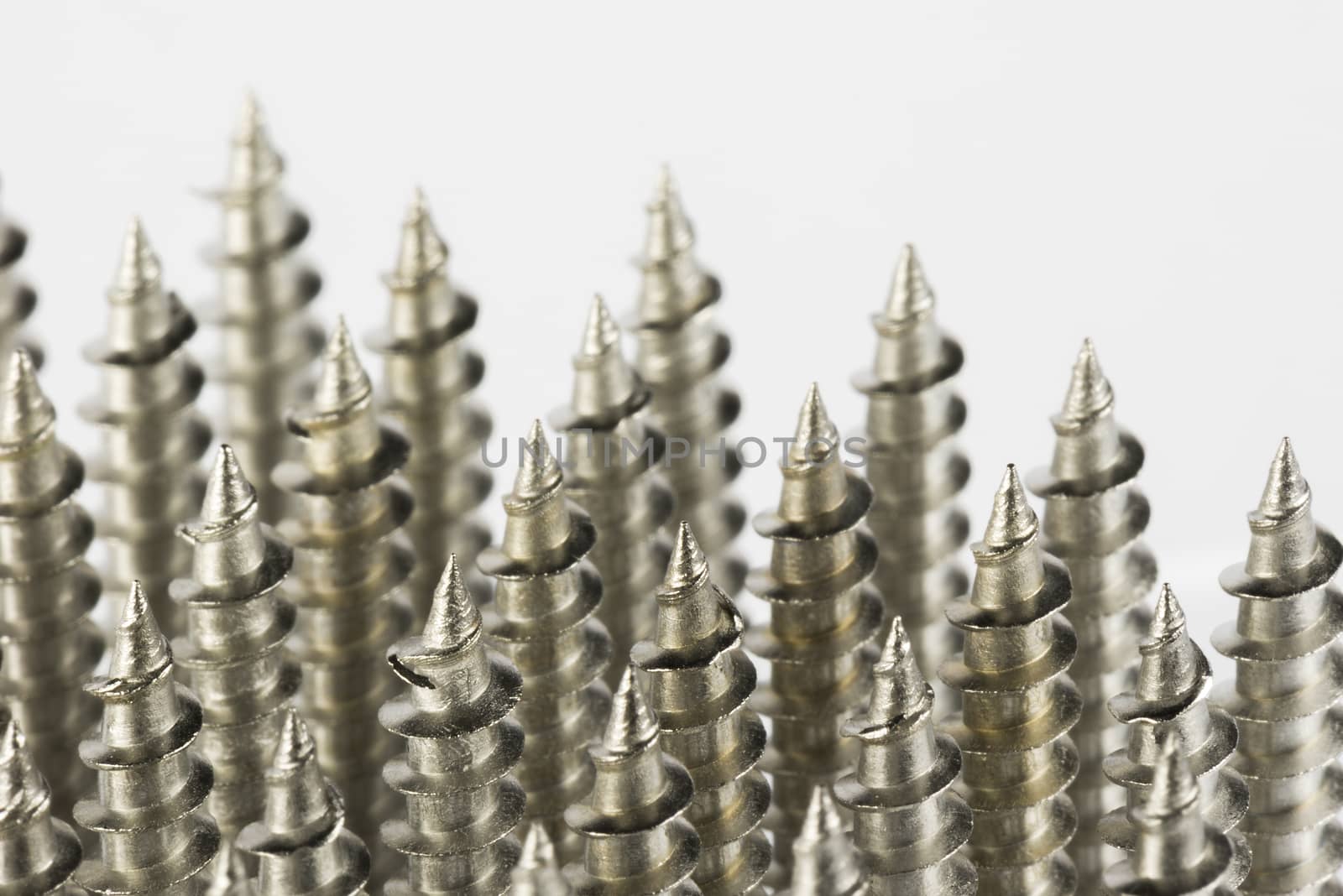 Collection of stainless steel screws
