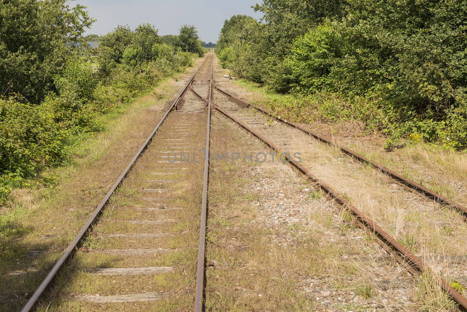 Exchange in an old railway line in Netherlands
