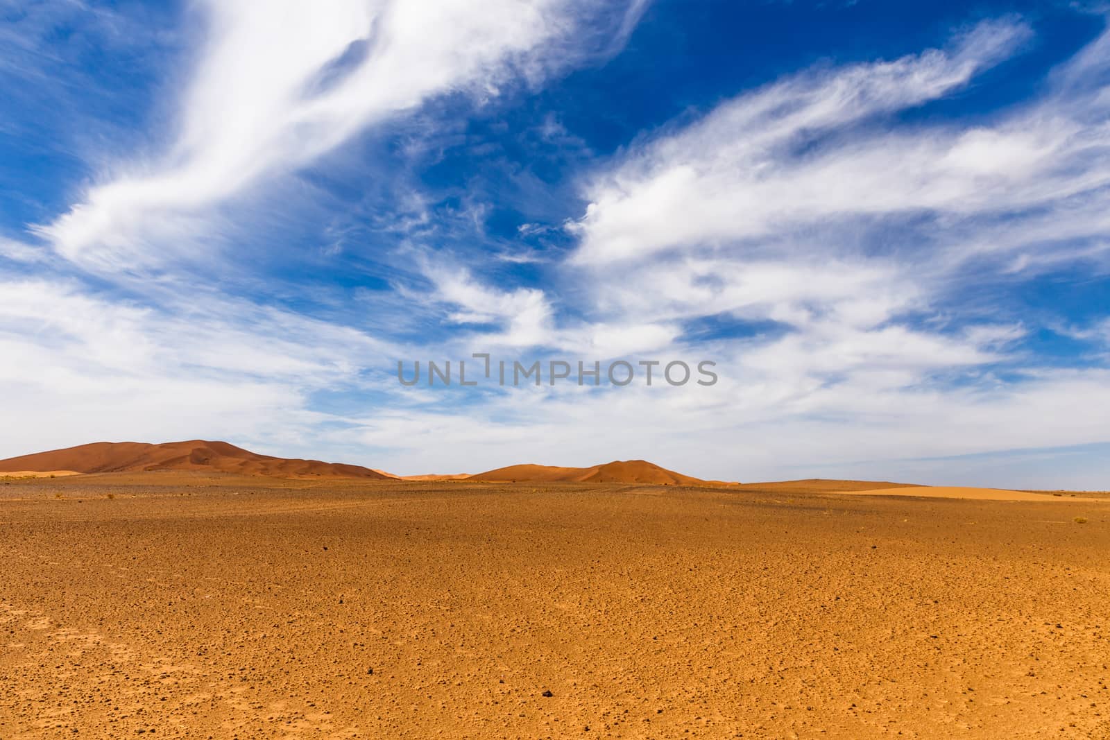 dune erg Chebbi in the blue sky, Morocco