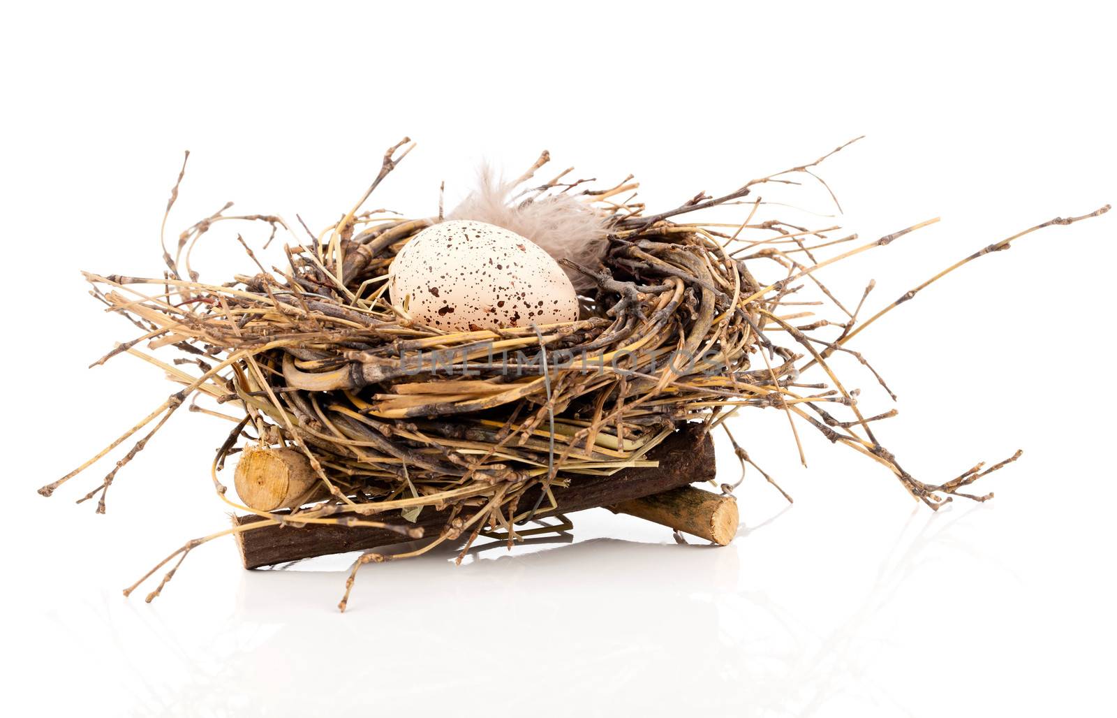 Easter egg in birds nest isolated on white background by motorolka