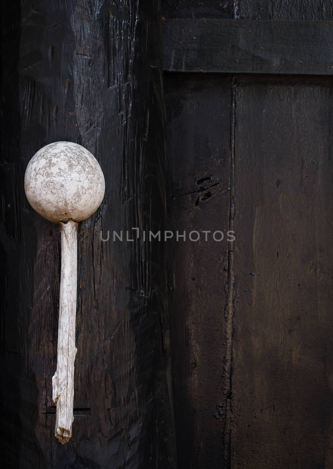 Drinking water dipper from thailand