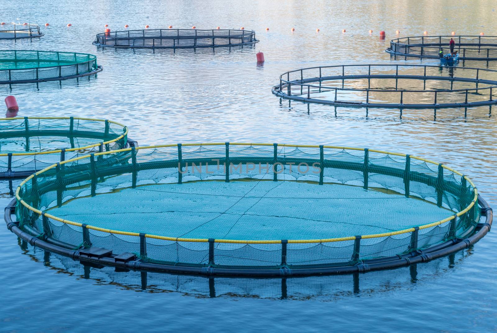 Cages for fish farming by radzonimo