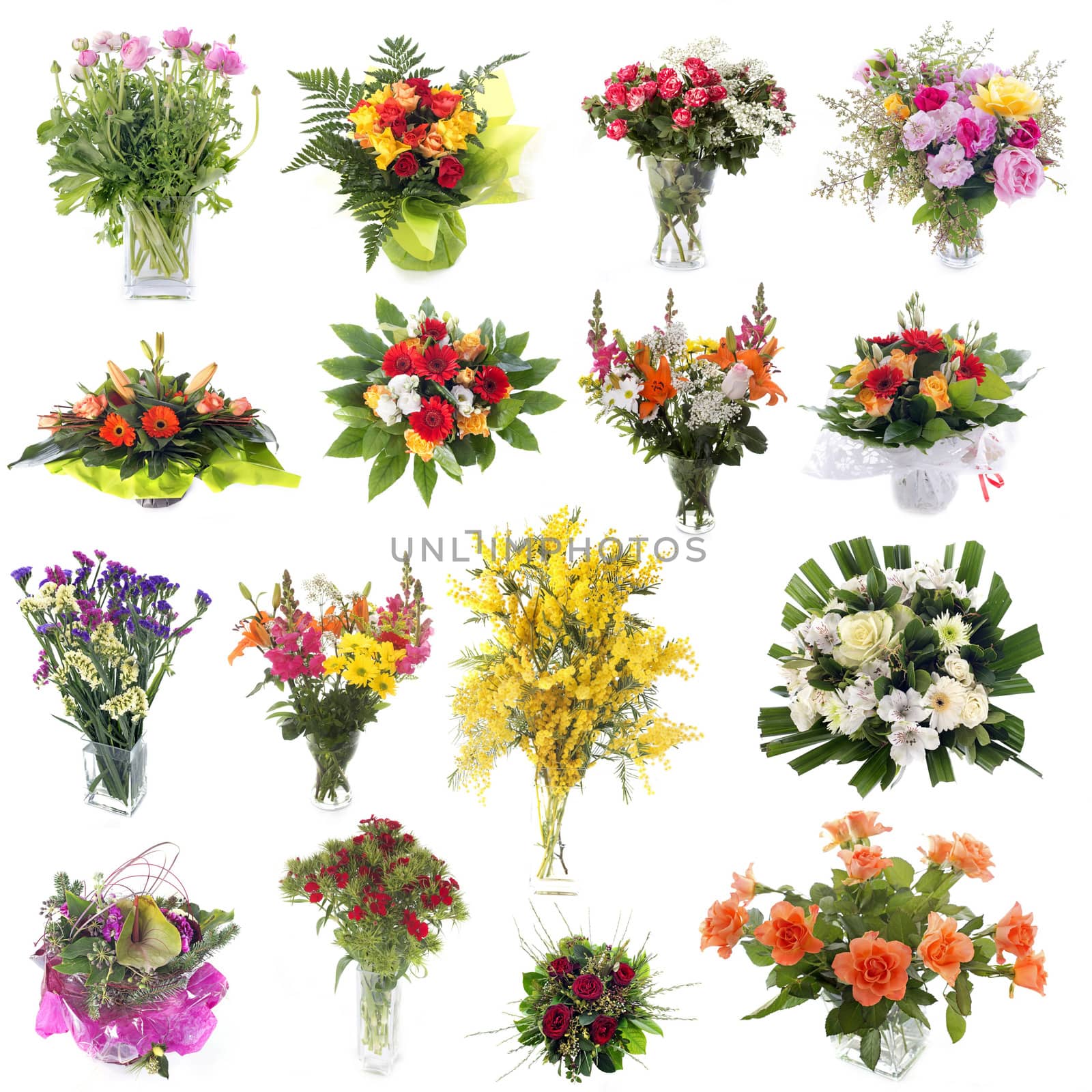 group of cutting flowers in front of white background