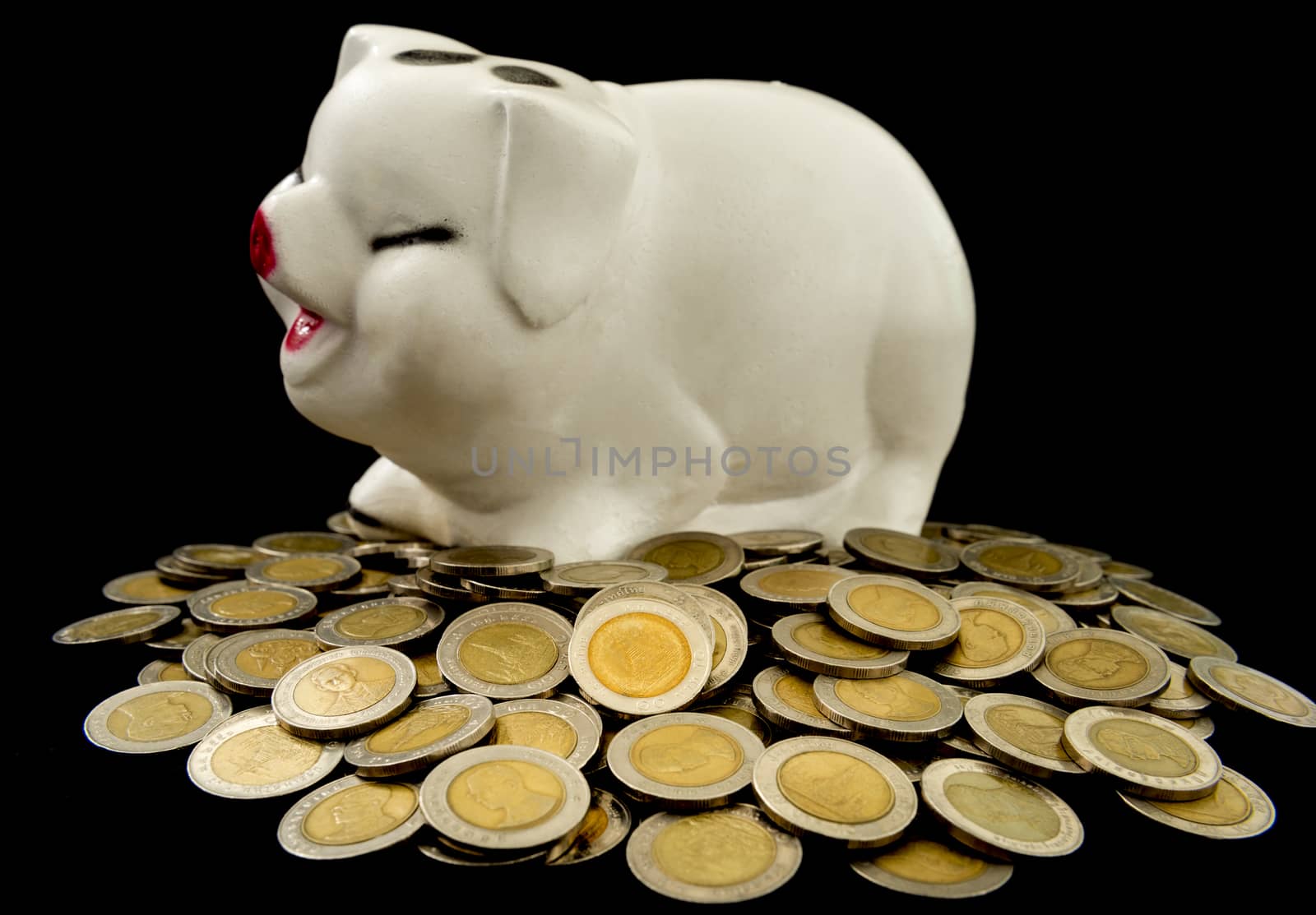 coin, piggy bank on black background, saving concept,investment concept,business concept.