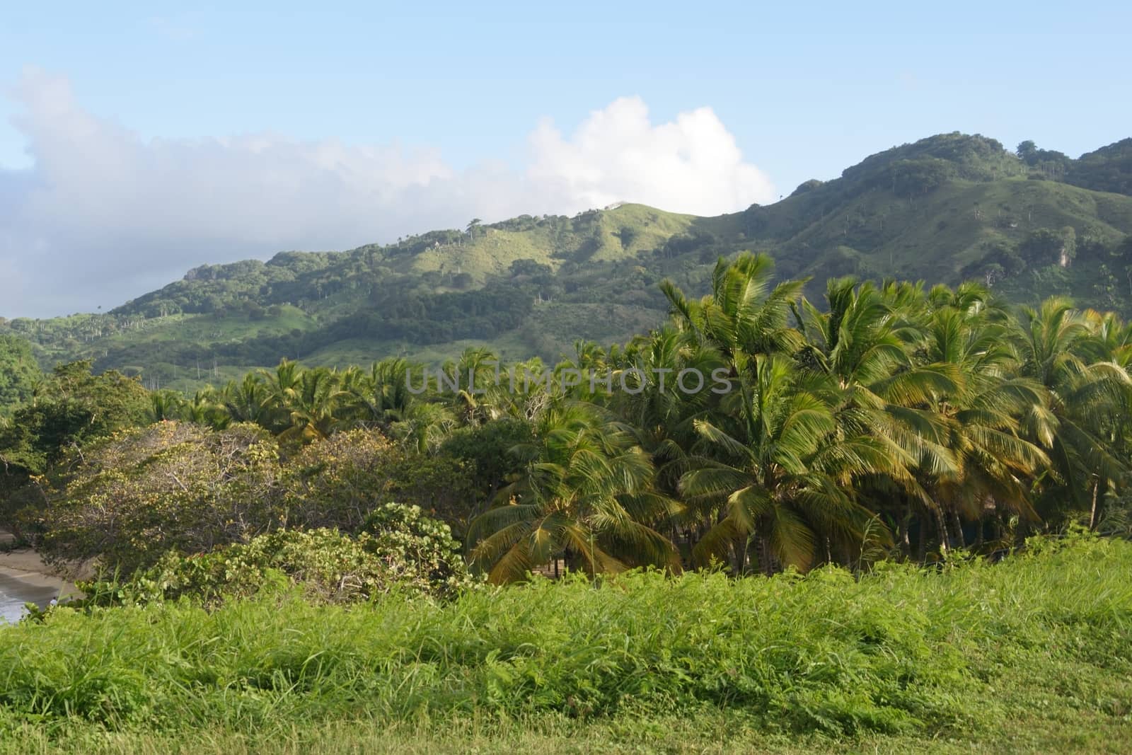 Caribbean landscape Dominican Republic