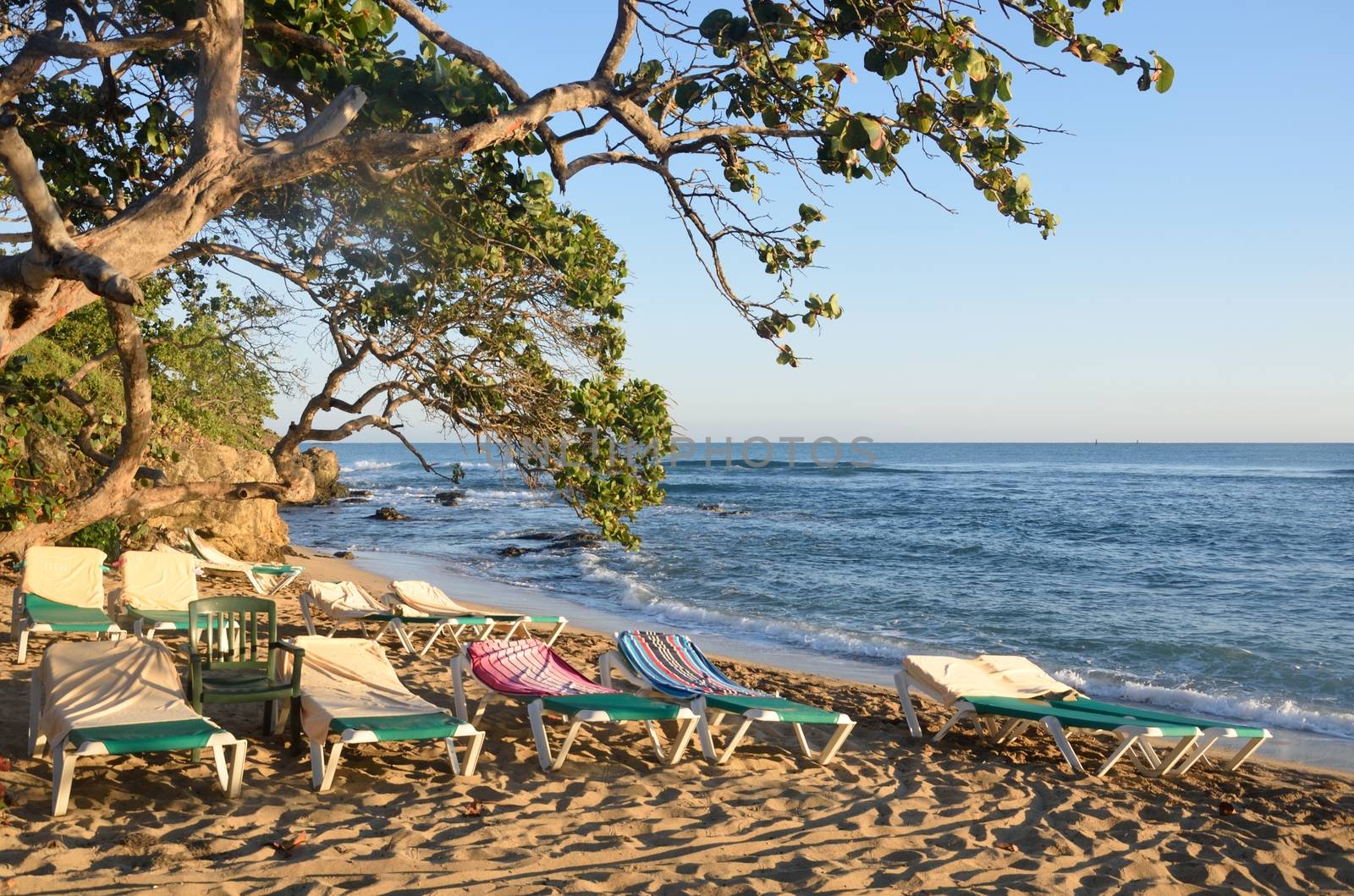 Empty sunbeds by caribbean beach