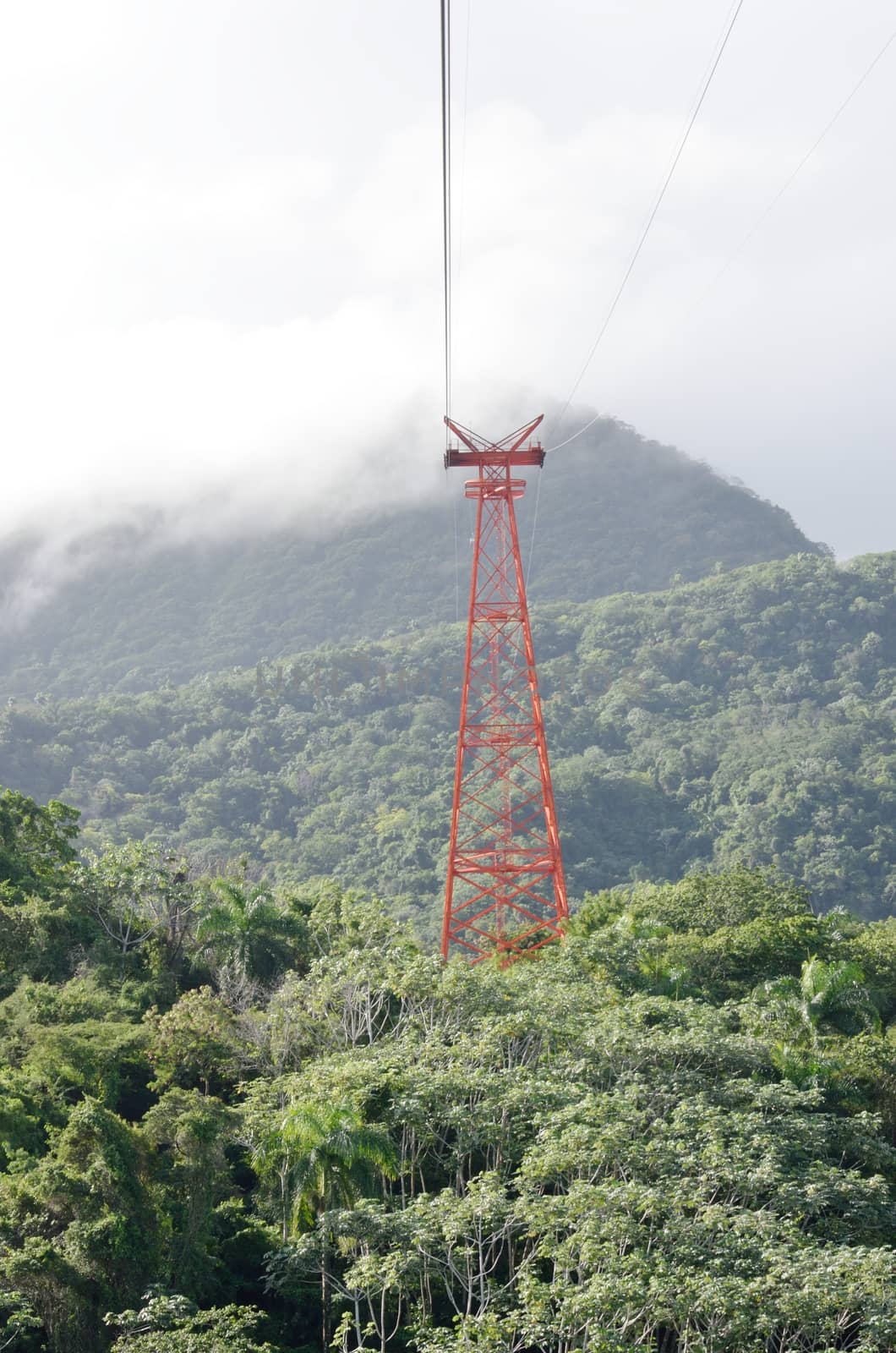 Cable car mechanism in Jungle by pauws99