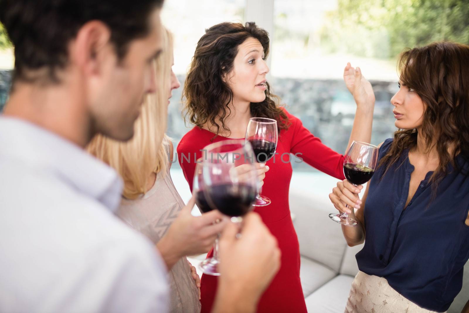 Group of friends having wine by Wavebreakmedia