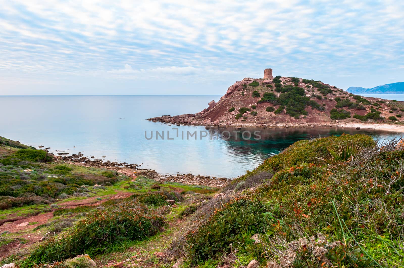 Landscape of coast of Sardinia with green grass in foreground and sea in background