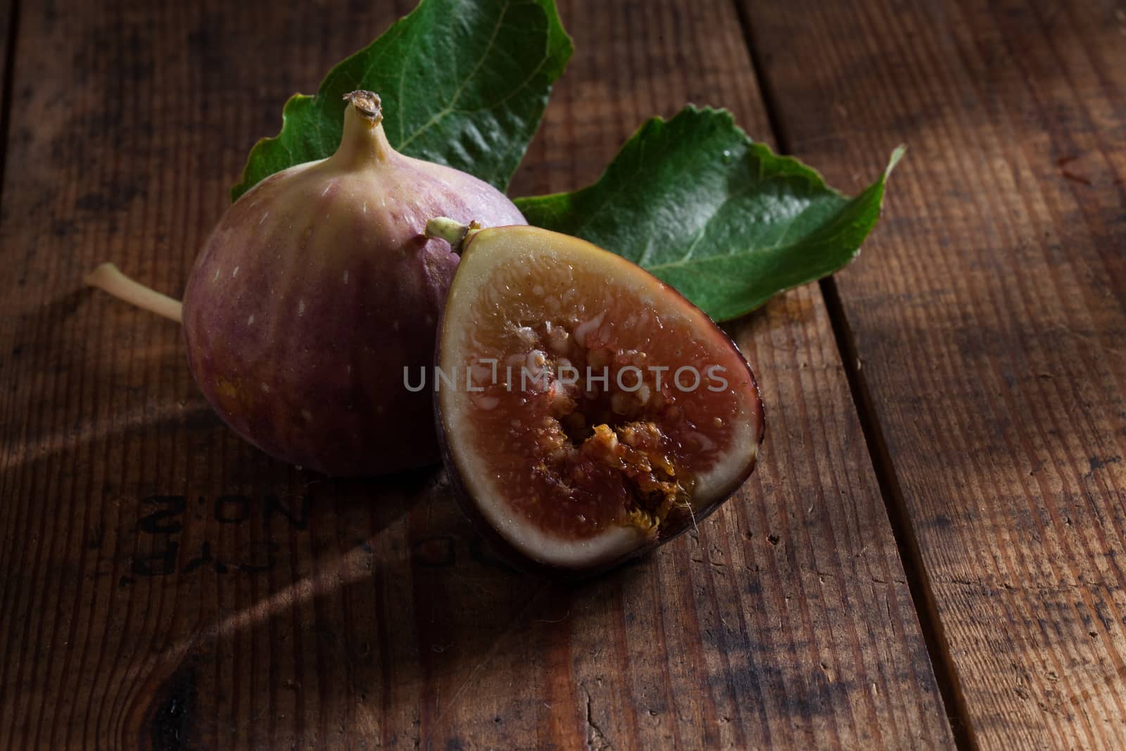 figs by ersler