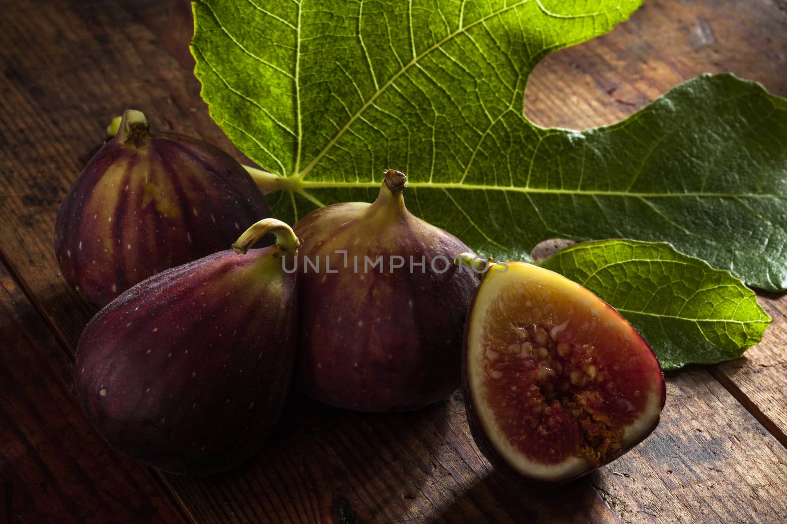figs on color by ersler