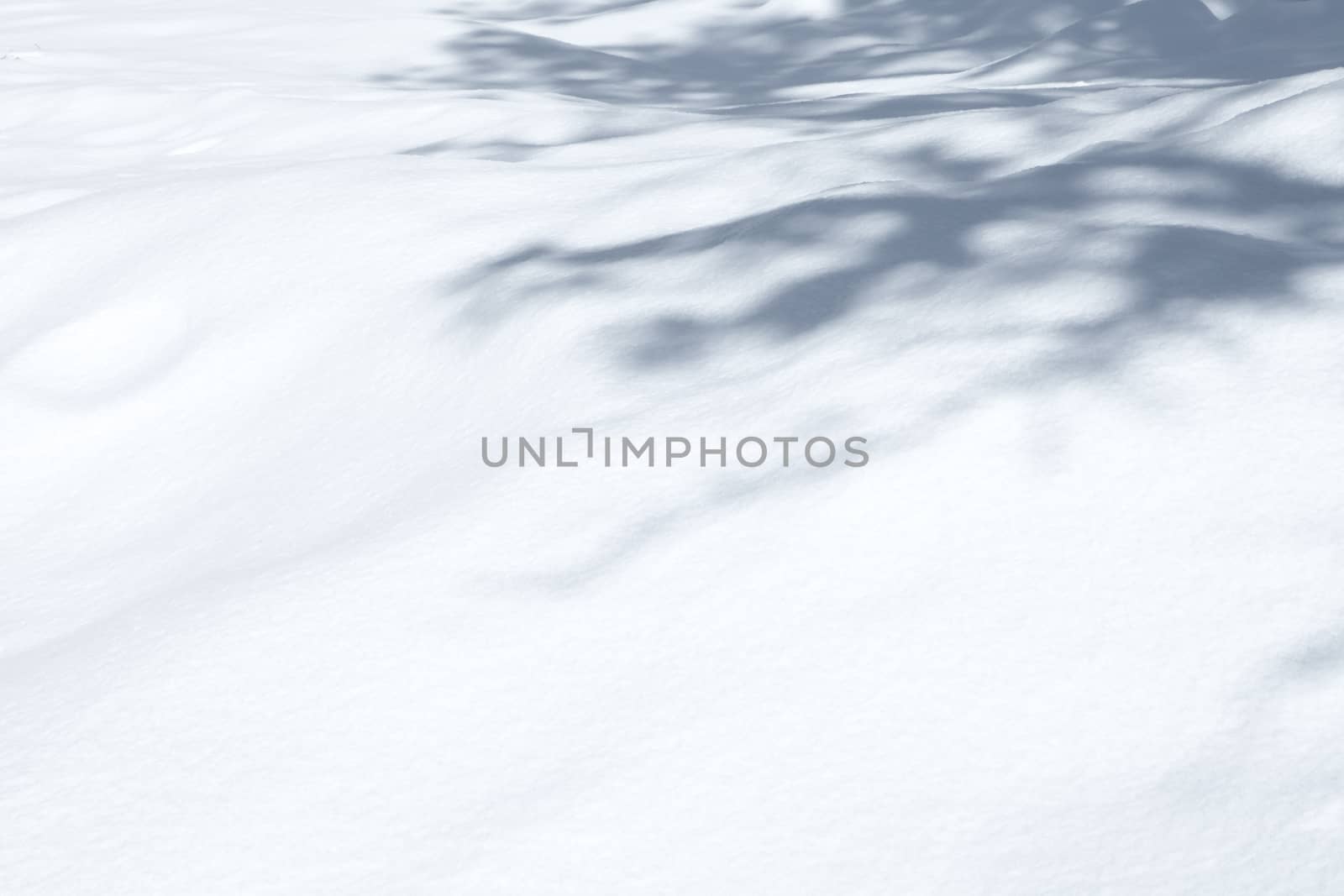 snow surface by ersler