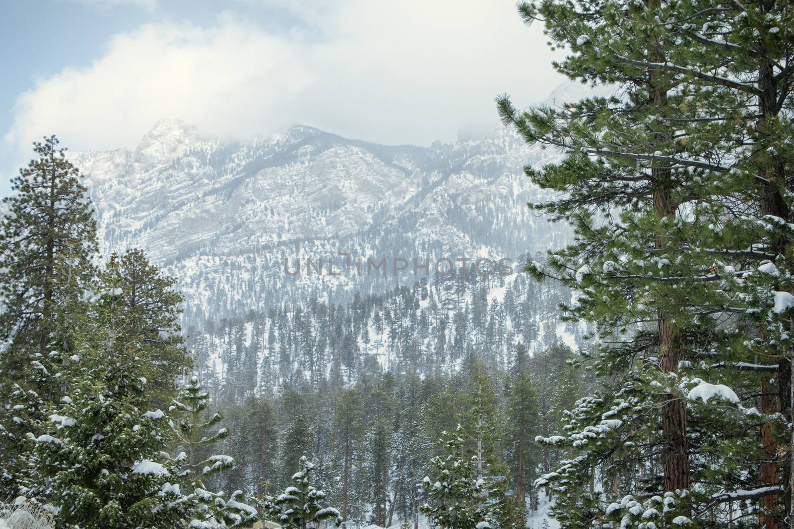 view of  nice winter  mountain landscape  during  falling  snow