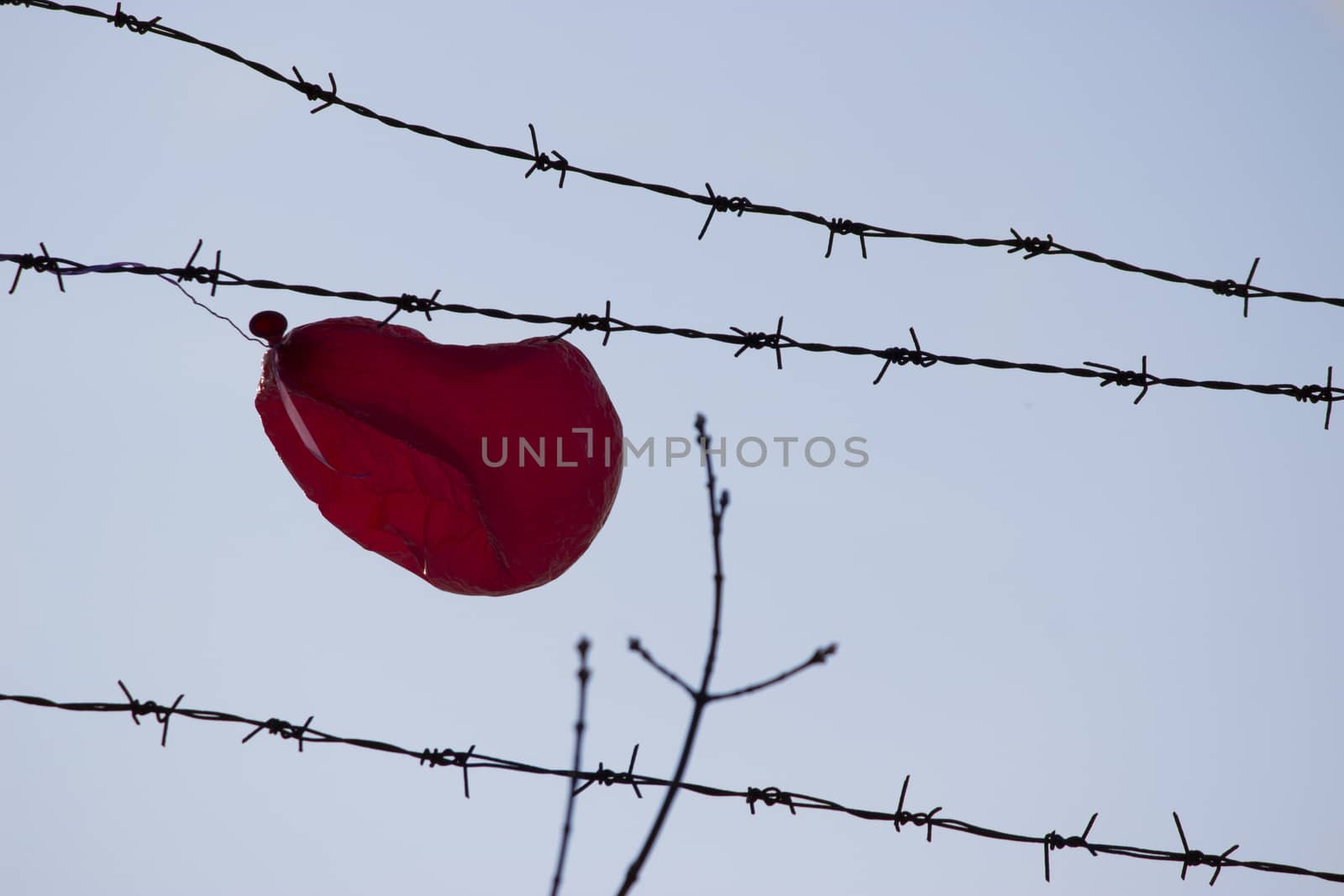 red ballon stuck in barbed wire by liwei12