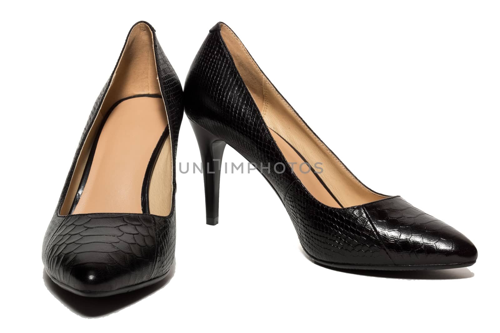 The picture shows the female shoes on a white background