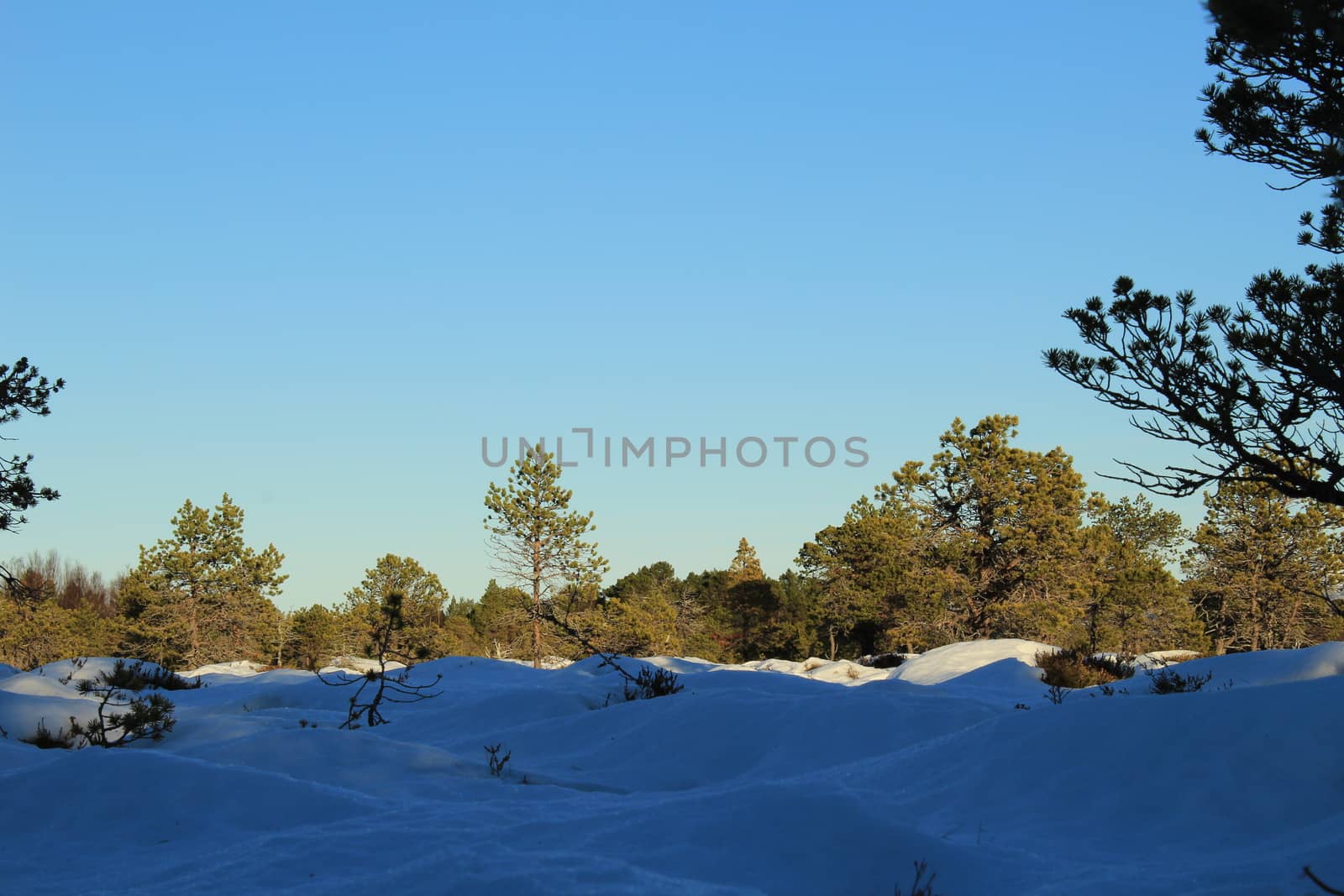 Nature, Mountains, Landscapes