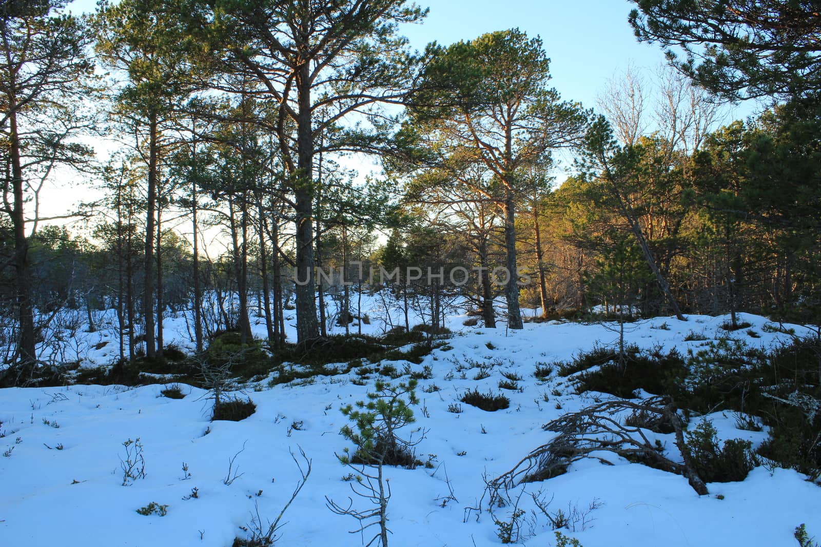 Nature, Mountains, Landscapes