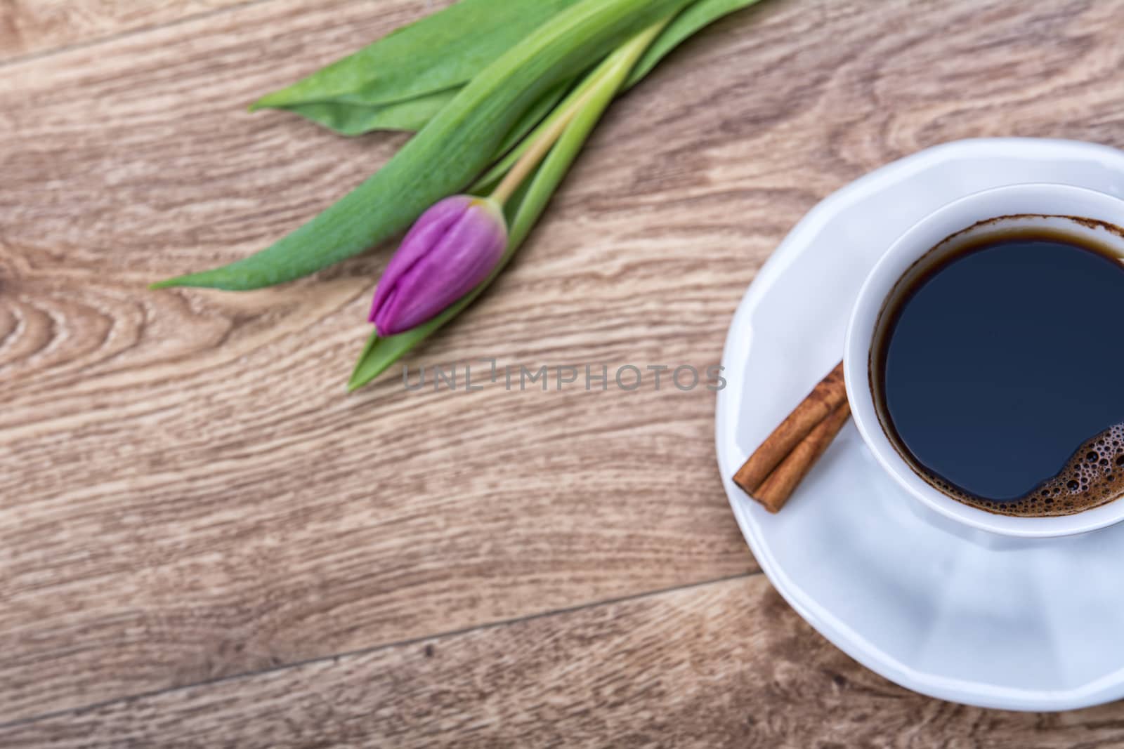 Cup of coffee and violet tulip on a wooden background
