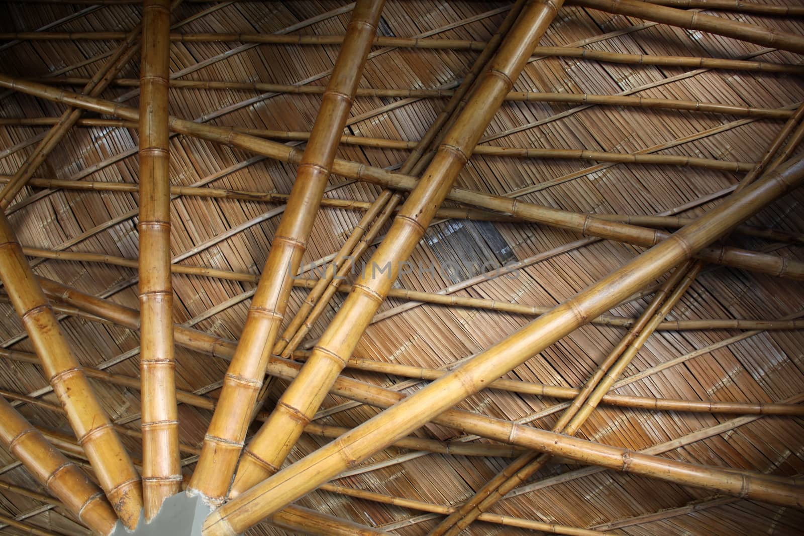 Bamboo Structure in Thailand countryside by worrayuth