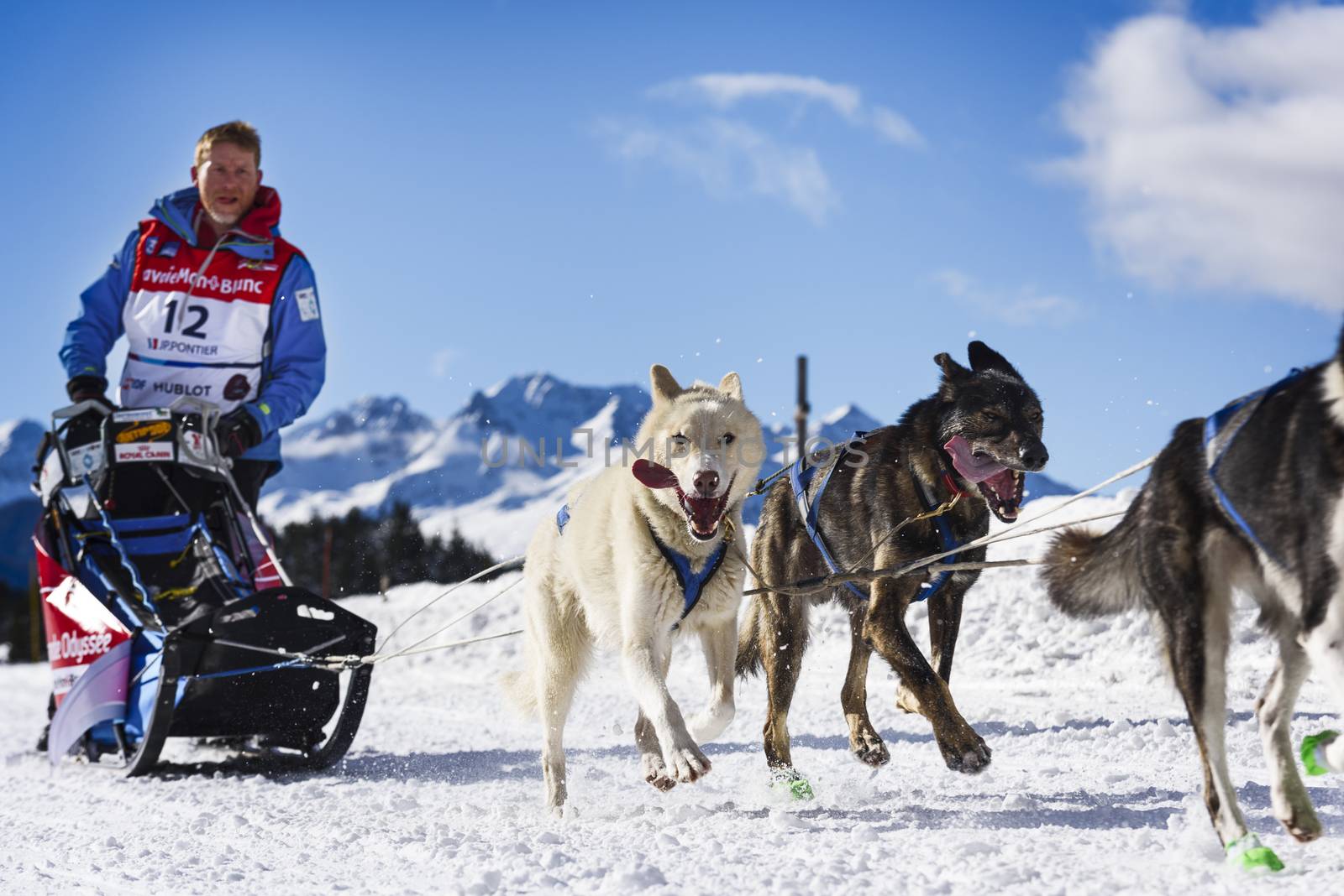 Sledge dogs in speed racing by ventdusud