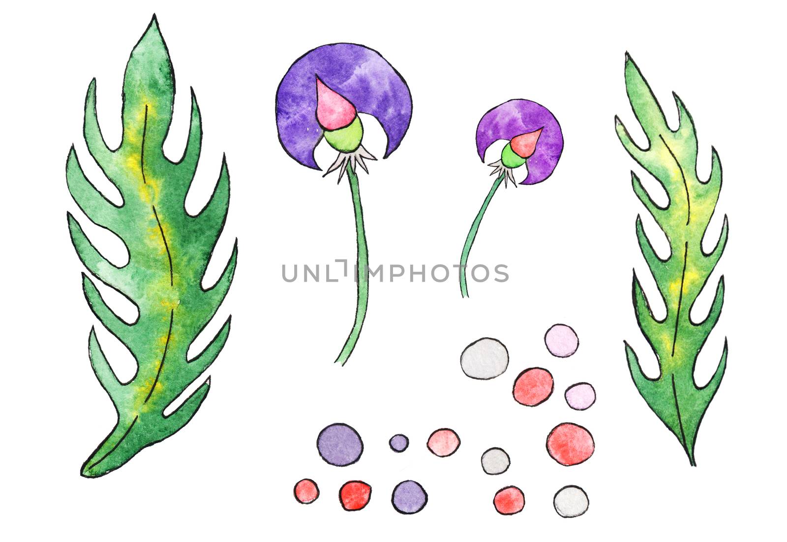 Watercolor hand-drawing, fantasy plants, isolated on white, elements. Flowers and leaves