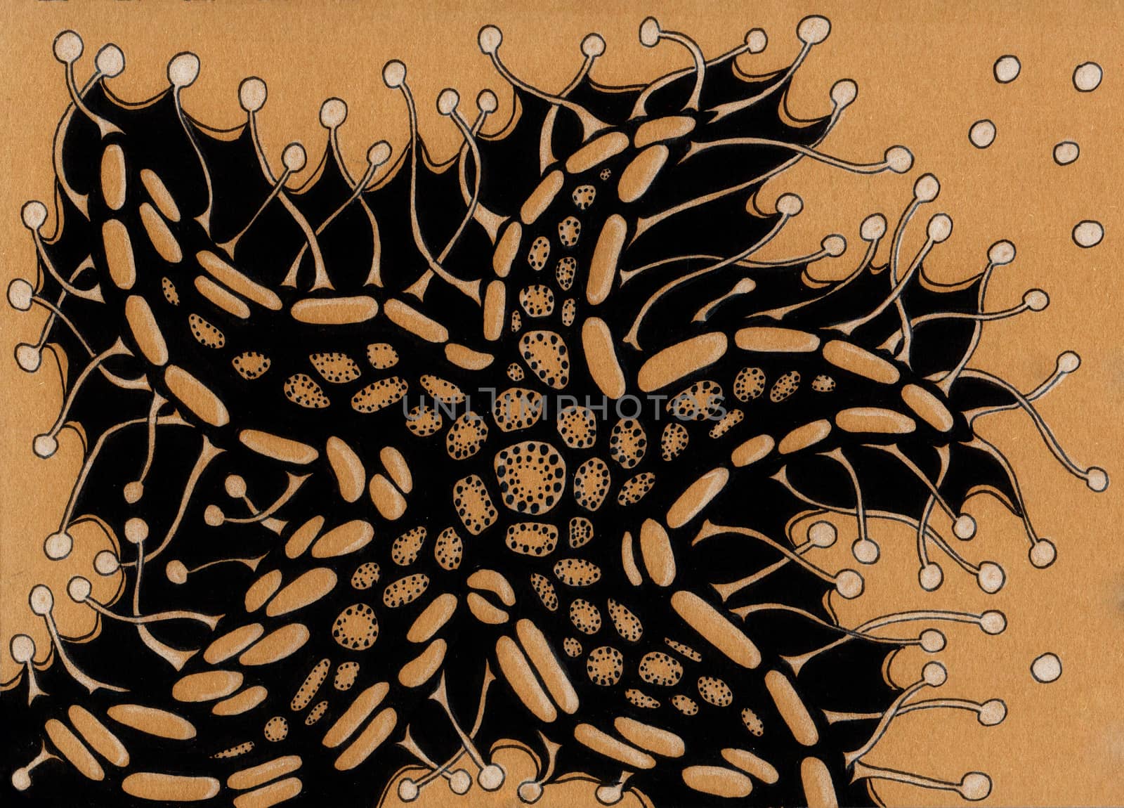 Picture stylized starfish. Ink on kraft paper. Doodle and zentangle