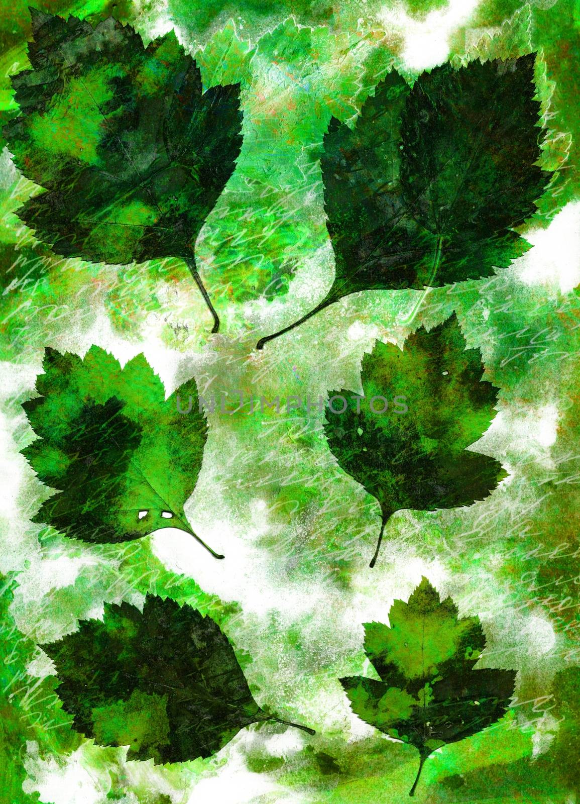 Set of autumn leaves on abstract background. One type of plant