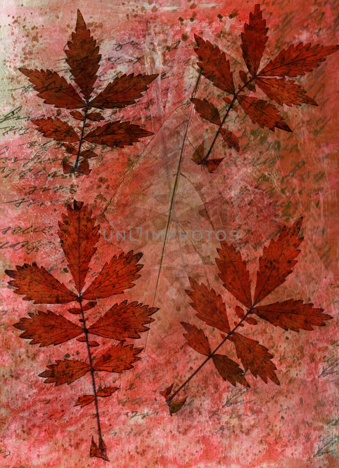 Abstract watercolor background handmade branch plant. Mixed media background. Crumpled paper, leaves, spray