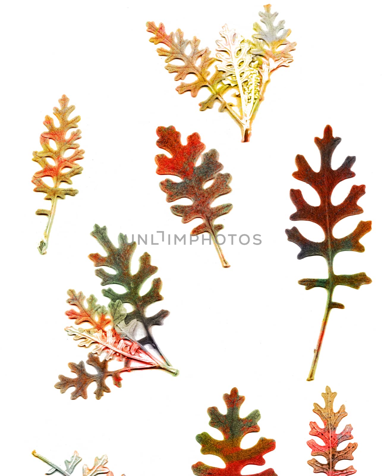 Grunge background with autumn leaves by Julia_Faranchuk