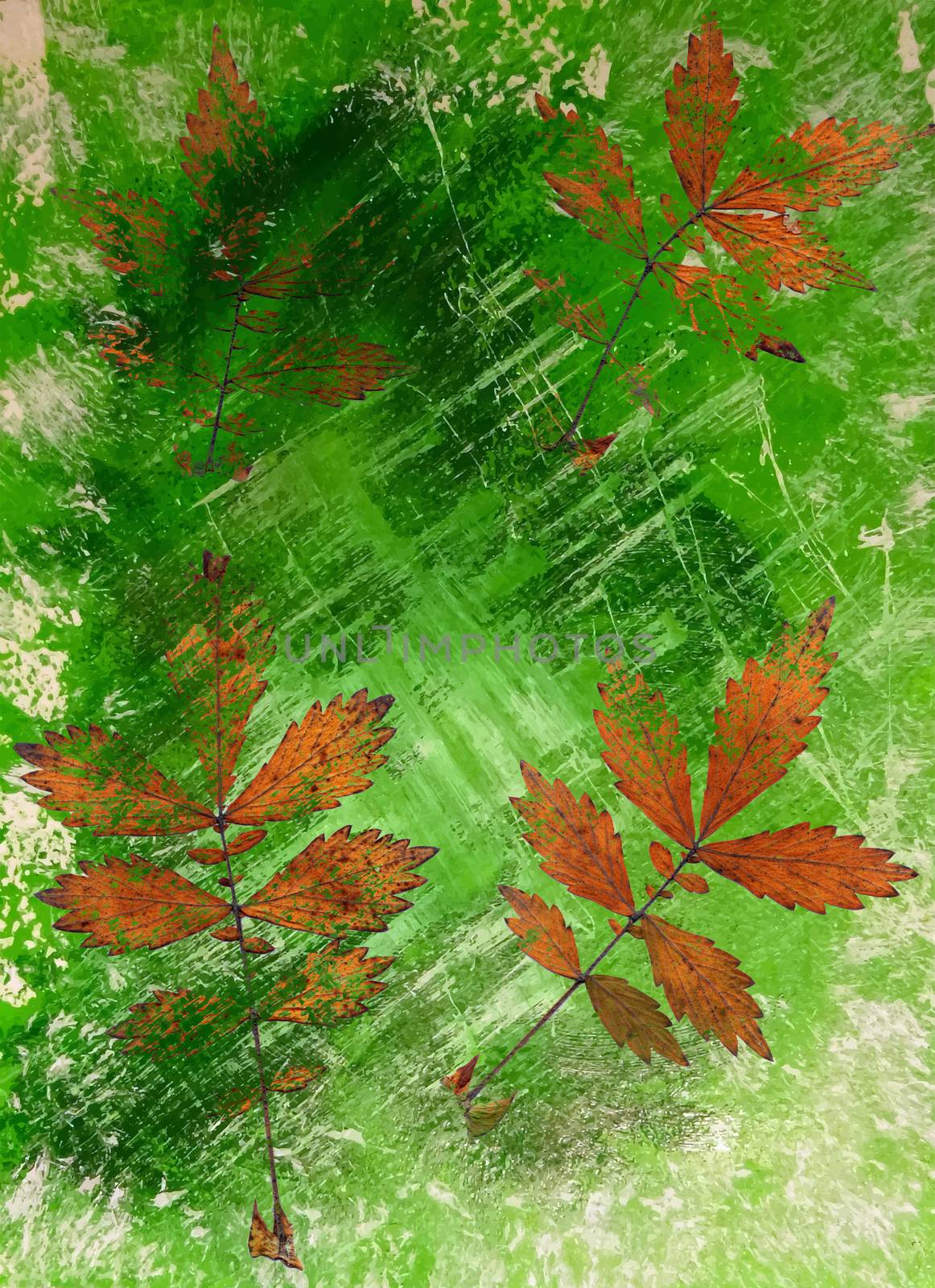 Abstract watercolor background and leaves. Mixed media by Julia_Faranchuk