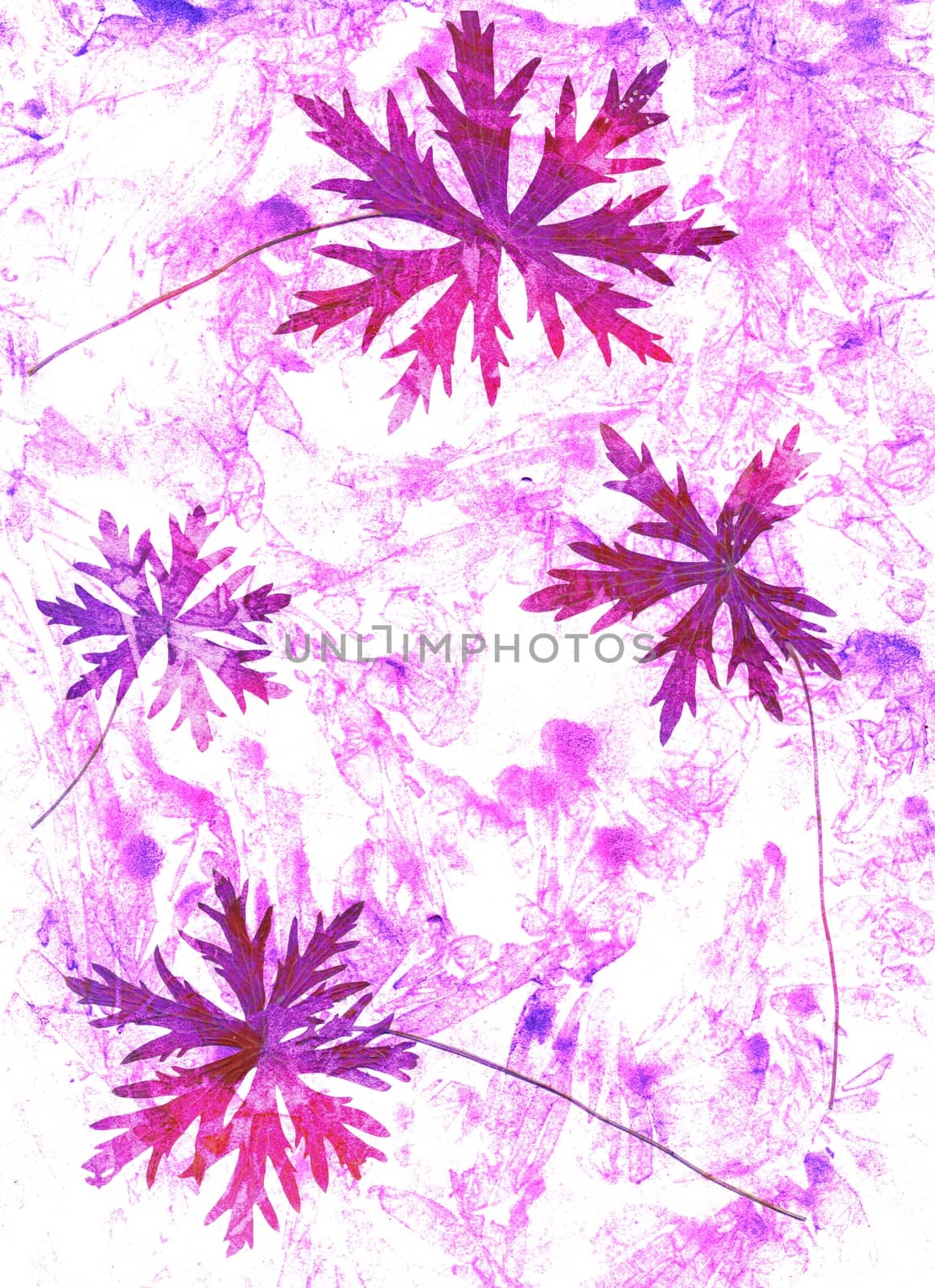 Abstract watercolor background and branch plant. Mixed media by Julia_Faranchuk