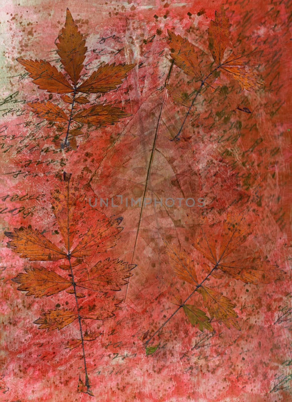 Abstract watercolor background and branch plant. Mixed media by Julia_Faranchuk