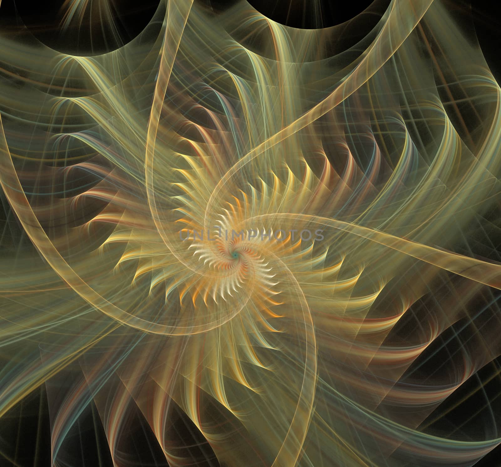 Shell abstract fractal background by Julia_Faranchuk