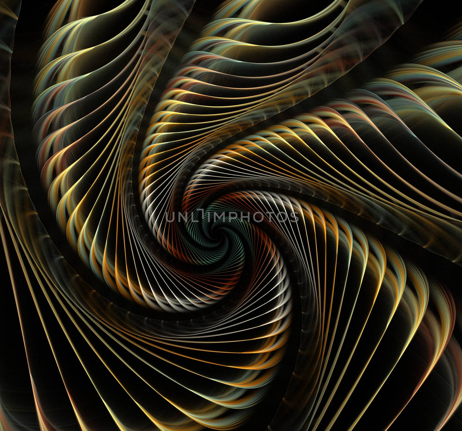 Great spiral shell abstract fractal black background