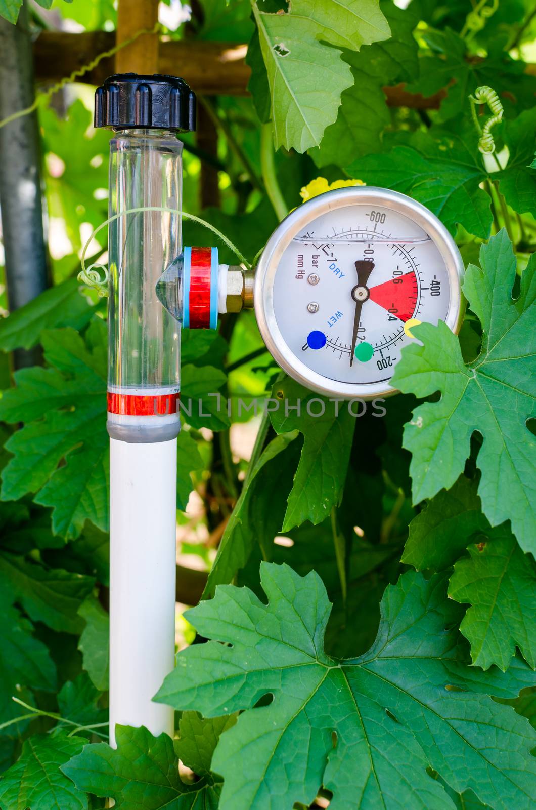 Soil Water Tension (Tensiometers) in vegetable garden