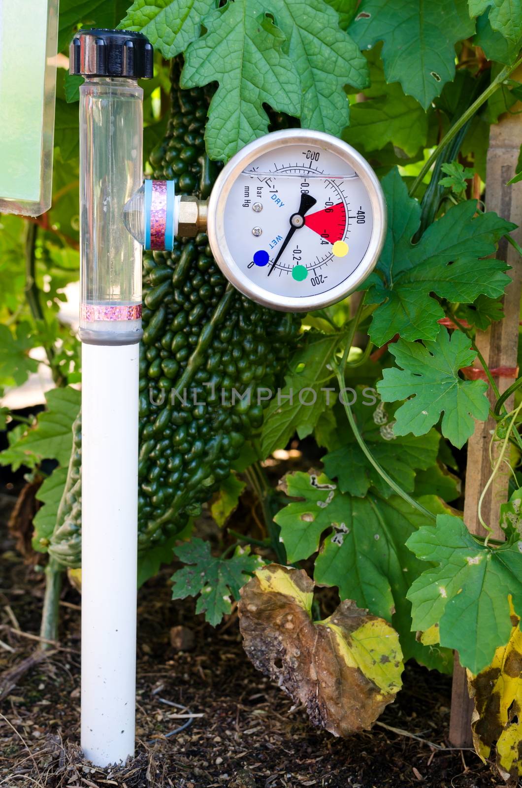 Soil Water Tension (Tensiometers) in vegetable garden