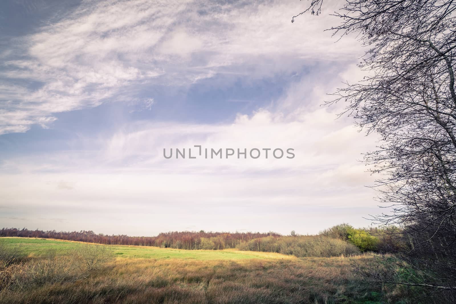 Countryside landscape with fields and trees in the autumn