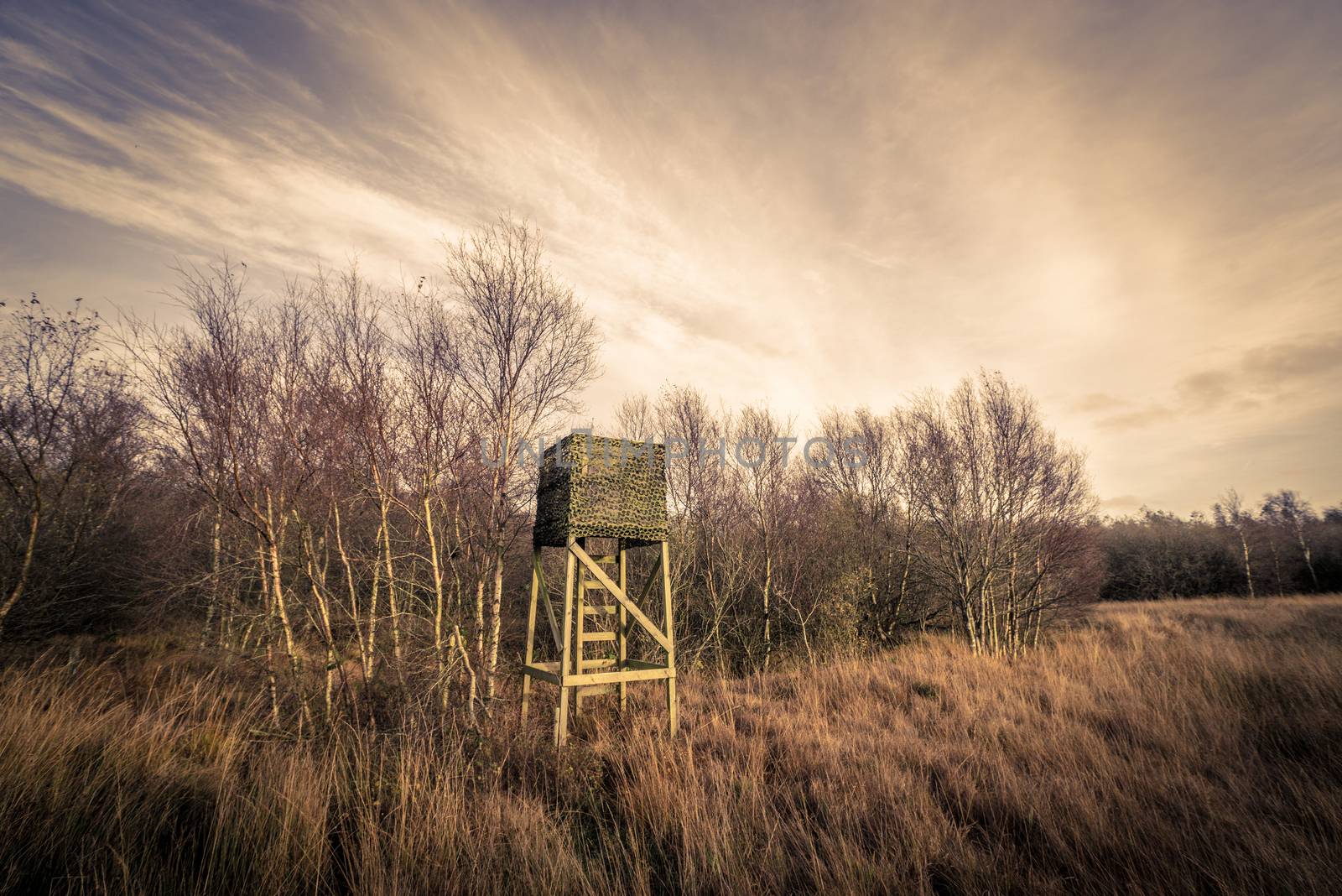 Hunting tower in rough nature in autumn