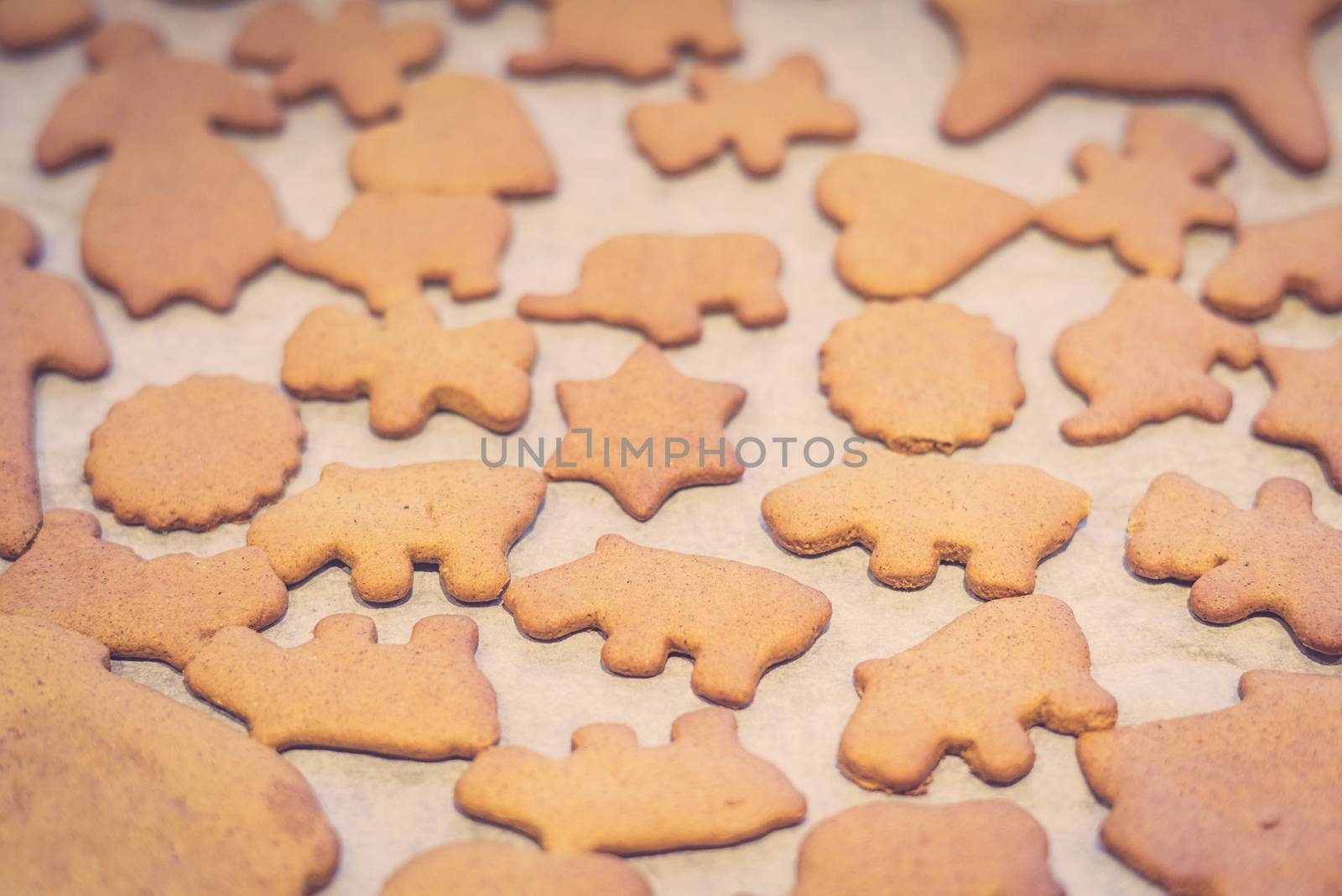 Homemade Xmas cookies on a sheet