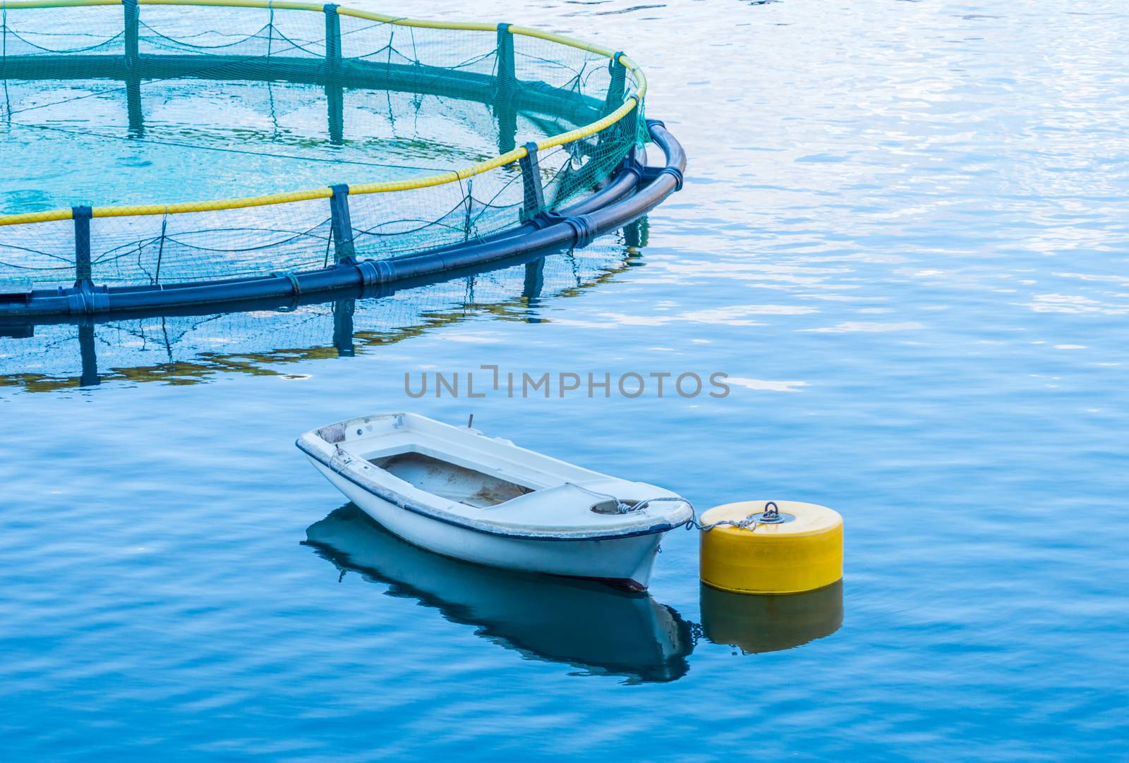 Cages for fish farming and the boat by radzonimo
