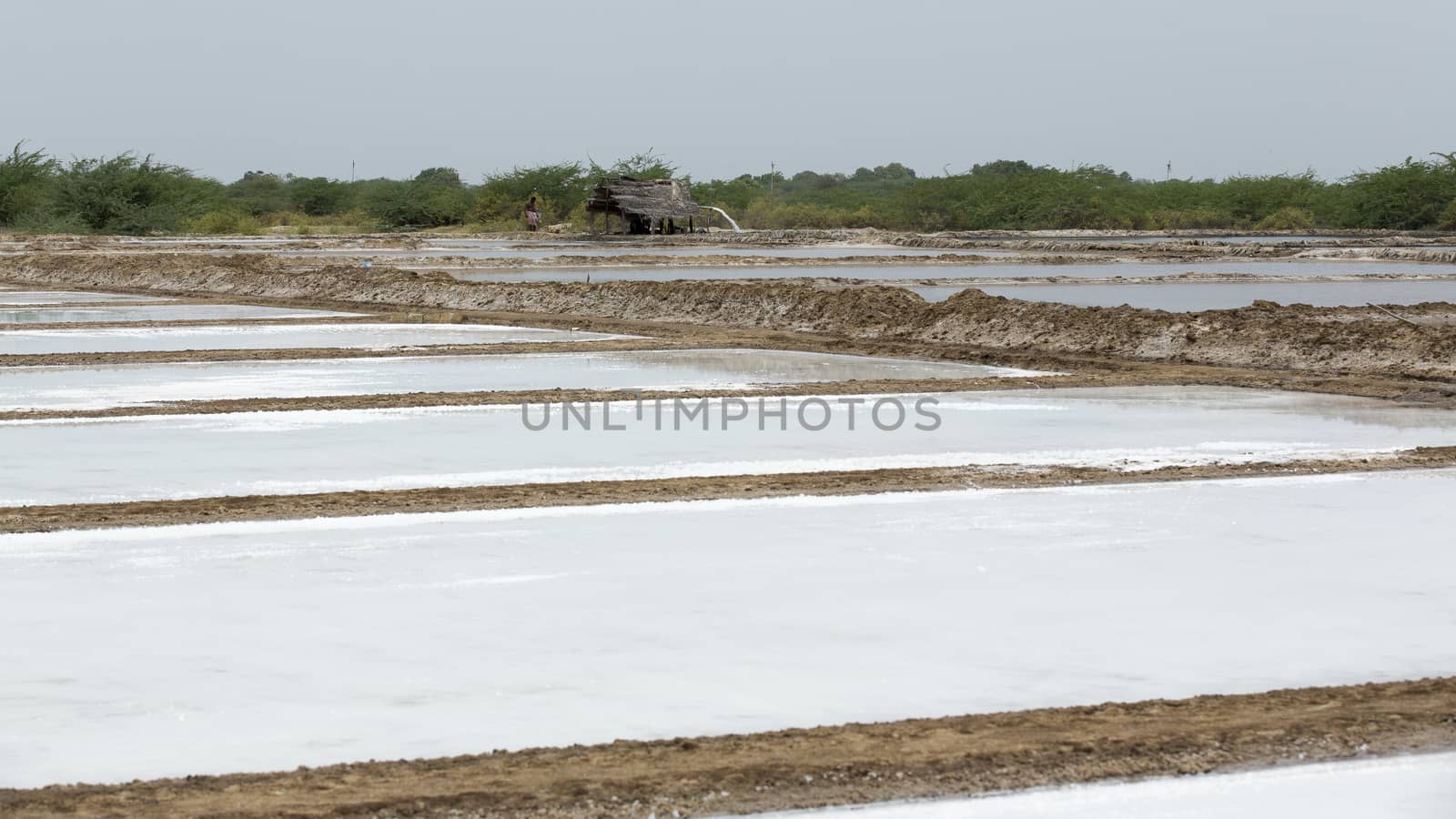Agricultur wokers in salt field, India Tamil Nadu Pondicherry aera.