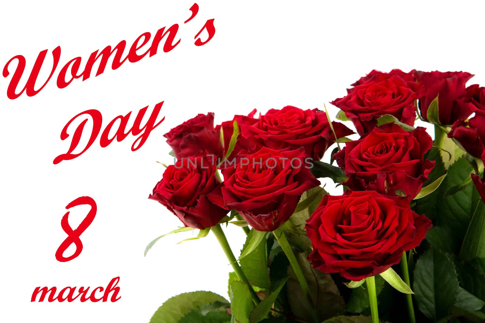 Happy Womens Day - red roses on a white background