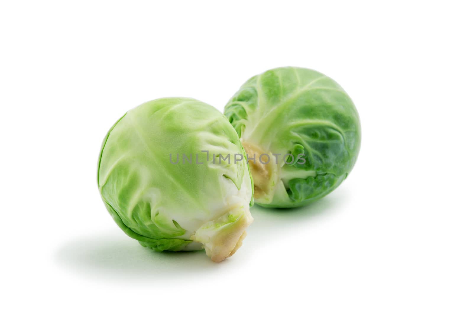 close up view of two heads of Brussels sprout on white back