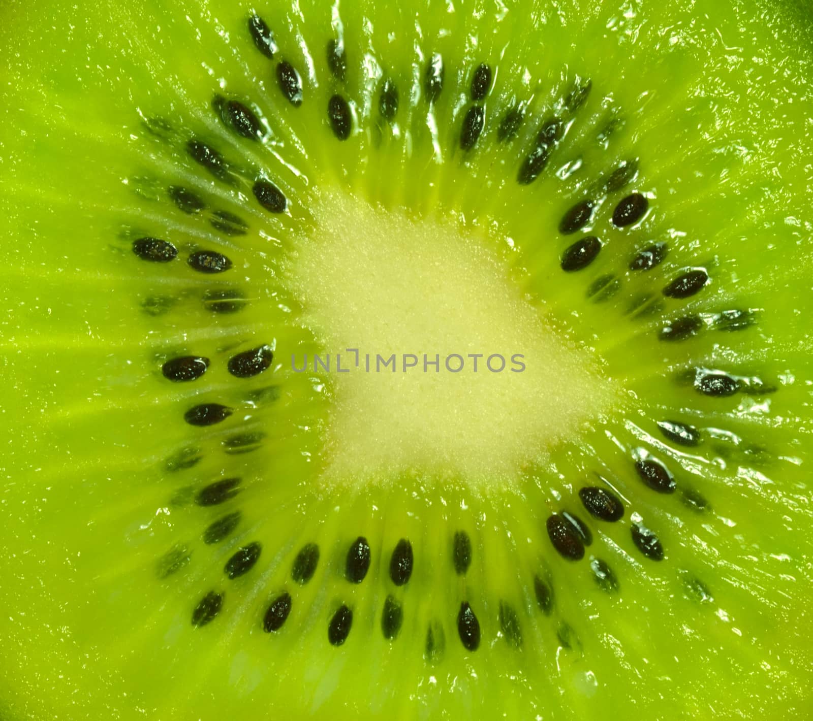 Macro image of kiwi fruit inside.