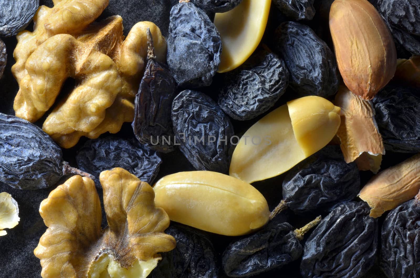 Dry Fruits by Vectorex