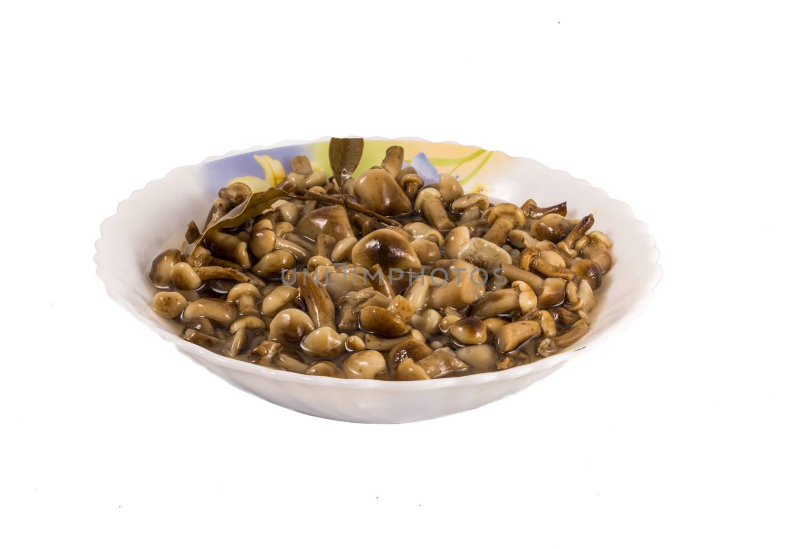 marinated mushrooms in plate on white background