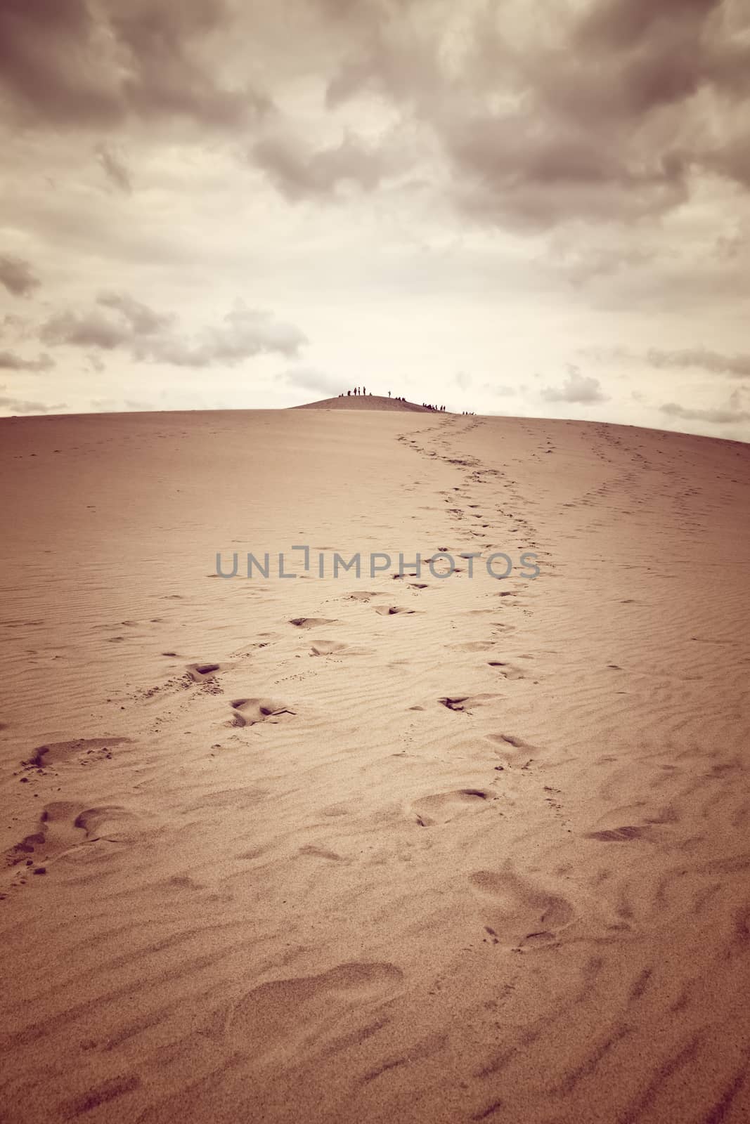 Dune of Pilat, the tallest sand dune in Europe by anikasalsera