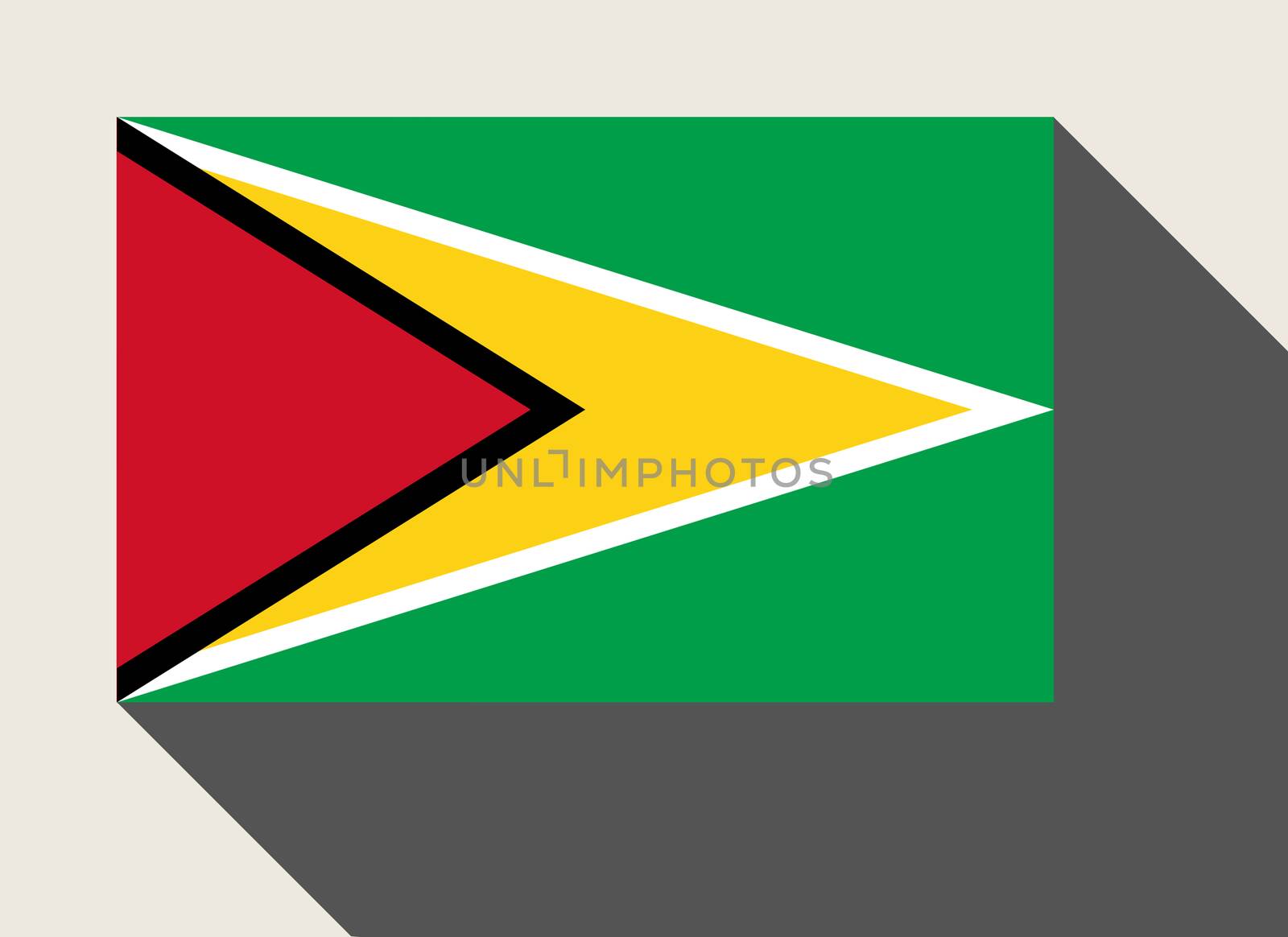 Guyana flag in flat web design style.