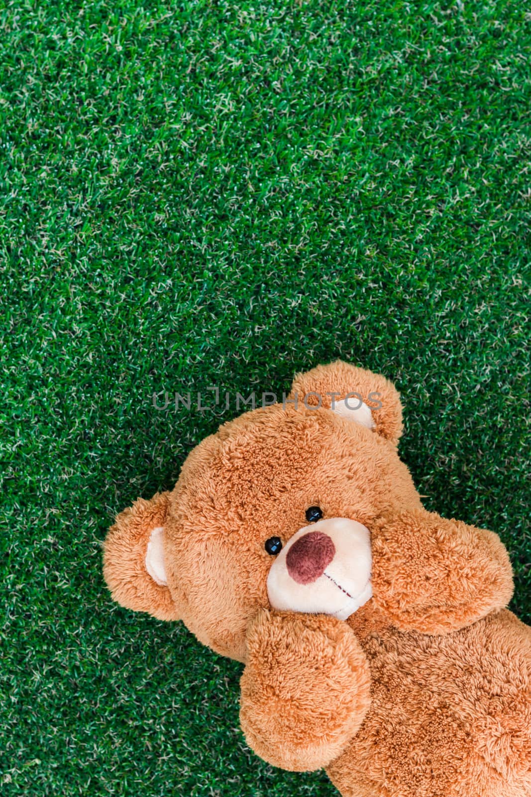 Cute teddy bear by AEyZRiO